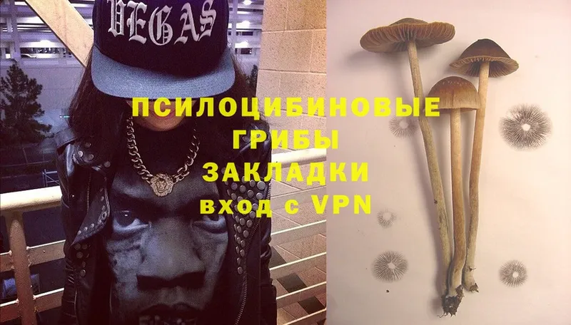 Псилоцибиновые грибы Magic Shrooms  Новосибирск 